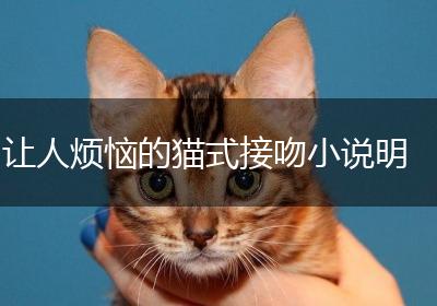 让人烦恼的猫式接吻小说明