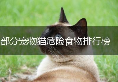 部分宠物猫危险食物排行榜