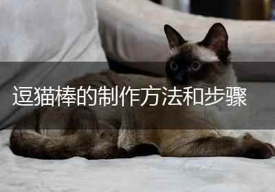 逗猫棒的制作方法和步骤