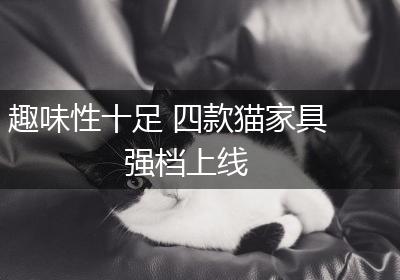 趣味性十足 四款猫家具强档上线