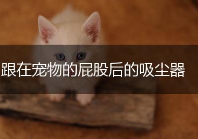跟在宠物的屁股后的吸尘器