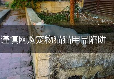 谨慎网购宠物猫猫用品陷阱