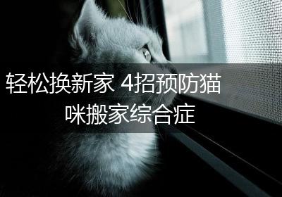 轻松换新家 4招预防猫咪搬家综合症