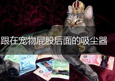 跟在宠物屁股后面的吸尘器