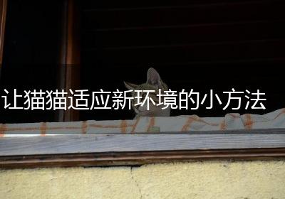 让猫猫适应新环境的小方法