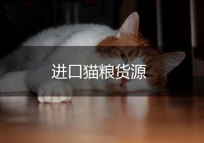 进口猫粮货源