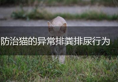 防治猫的异常排粪排尿行为