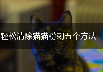 轻松清除猫猫粉刺五个方法