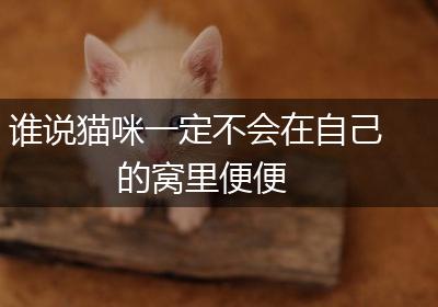 谁说猫咪一定不会在自己的窝里便便