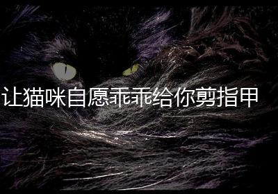 让猫咪自愿乖乖给你剪指甲