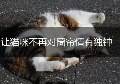 让猫咪不再对窗帘情有独钟