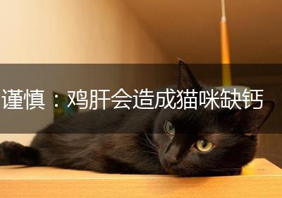 谨慎：鸡肝会造成猫咪缺钙