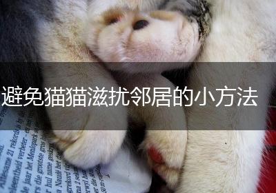 避免猫猫滋扰邻居的小方法