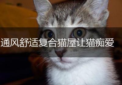 通风舒适复合猫屋让猫痴爱
