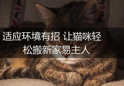 适应环境有招 让猫咪轻松搬新家易主人