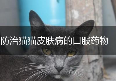 防治猫猫皮肤病的口服药物