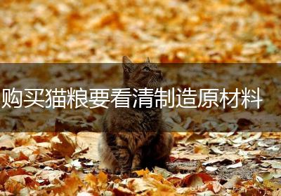 购买猫粮要看清制造原材料
