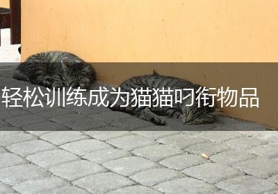 轻松训练成为猫猫叼衔物品