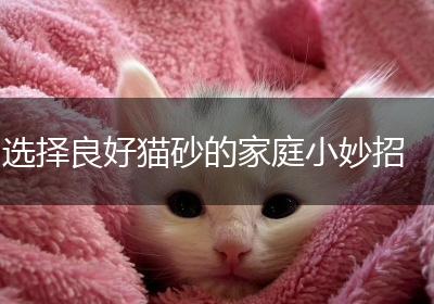 选择良好猫砂的家庭小妙招
