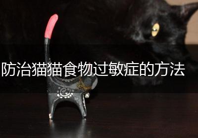 防治猫猫食物过敏症的方法