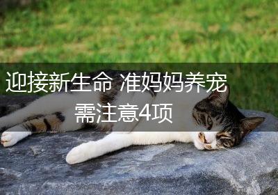 迎接新生命 准妈妈养宠需注意4项