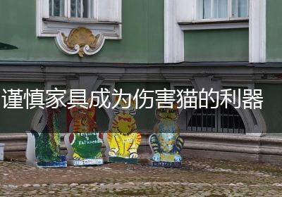 谨慎家具成为伤害猫的利器