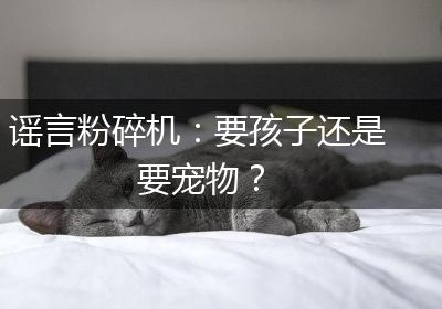 谣言粉碎机：要孩子还是要宠物？