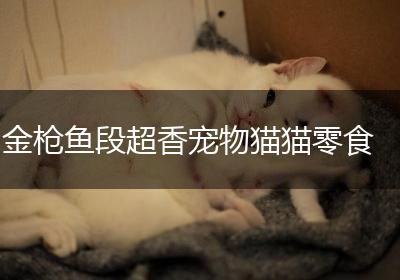 金枪鱼段超香宠物猫猫零食