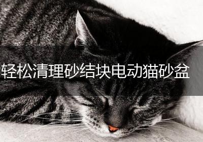 轻松清理砂结块电动猫砂盆