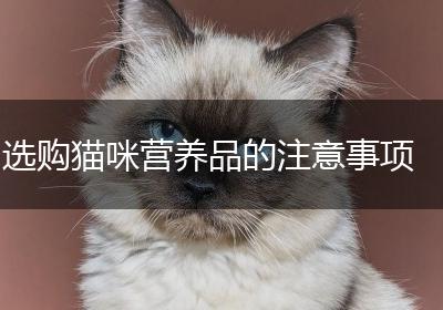 选购猫咪营养品的注意事项