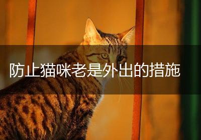 防止猫咪老是外出的措施