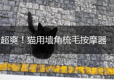 超爽！猫用墙角梳毛按摩器