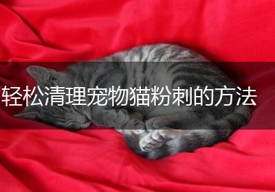 轻松清理宠物猫粉刺的方法