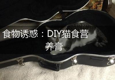 食物诱惑：DIY猫食营养膏