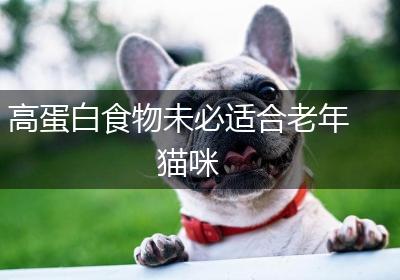 高蛋白食物未必适合老年猫咪