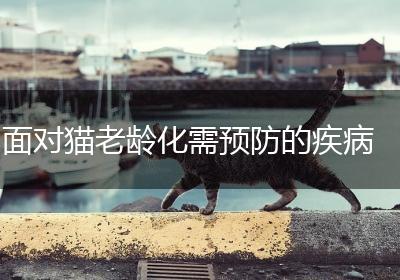 面对猫老龄化需预防的疾病