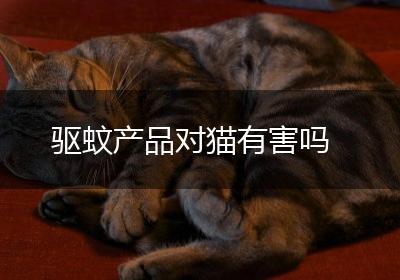 驱蚊产品对猫有害吗