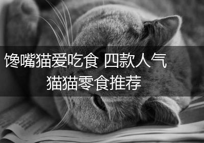 馋嘴猫爱吃食 四款人气猫猫零食推荐