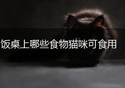 饭桌上哪些食物猫咪可食用