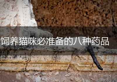 饲养猫咪必准备的八种药品
