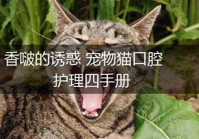 香啵的诱惑 宠物猫口腔护理四手册