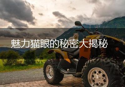 魅力猫眼的秘密大揭秘