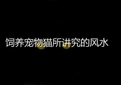 饲养宠物猫所讲究的风水