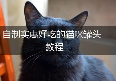 自制实惠好吃的猫咪罐头教程