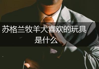 苏格兰牧羊犬喜欢的玩具是什么