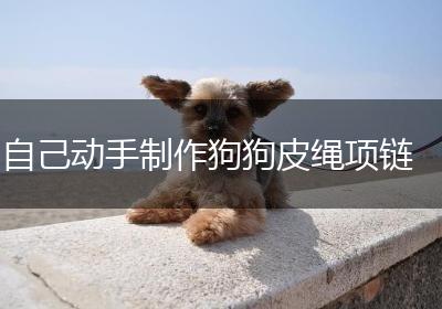 自己动手制作狗狗皮绳项链