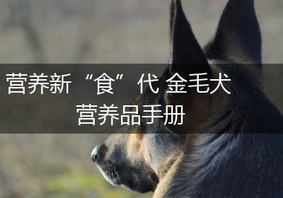 营养新“食”代 金毛犬营养品手册