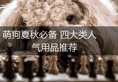 萌狗夏秋必备 四大类人气用品推荐