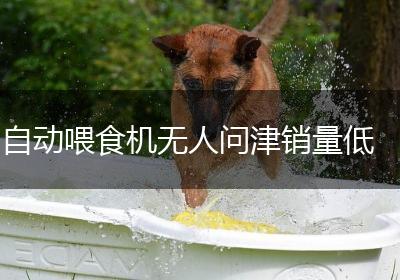自动喂食机无人问津销量低