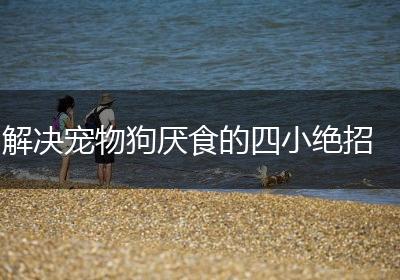 解决宠物狗厌食的四小绝招